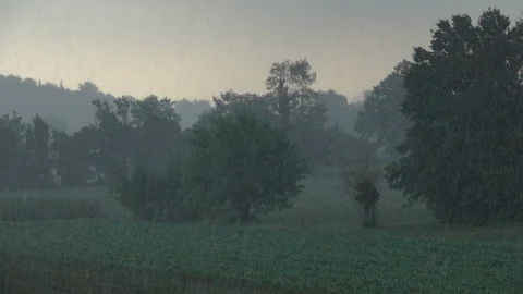 Raining in the countryside Stock Footage 123826926