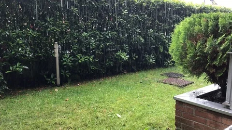 Raining day 動画素材 90099108