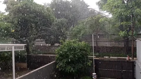 Raining day Stock Footage 221013015