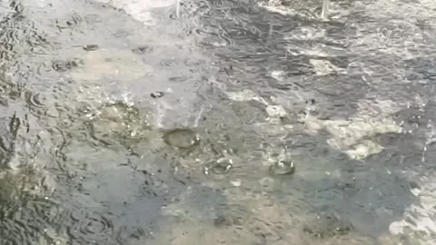 Raining day Stock Footage 280655211