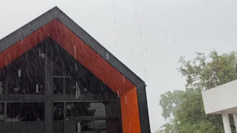Raining day footage Stock Footage 241149504