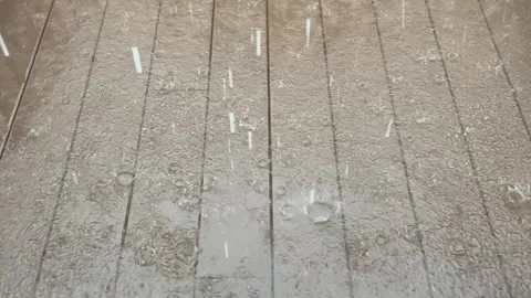 Raining day footage. Stock Footage 241149519