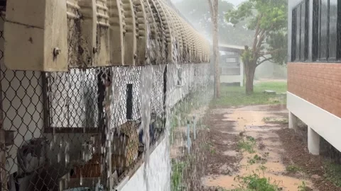 Raining day footage Stock Footage 241149521