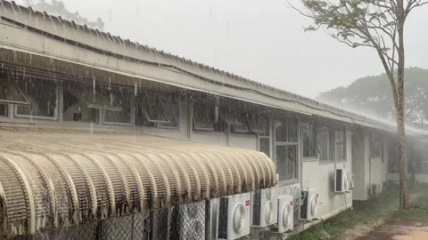 Raining day footage Stock Footage 241149548