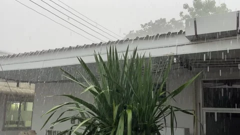 Raining day footage Stock Footage 241149597