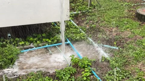 Raining day footage Stock Footage 241149604