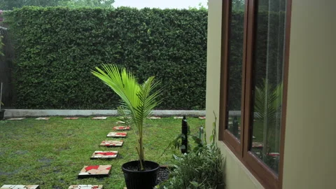 Raining day in green garden backyard Stock Footage 150679923