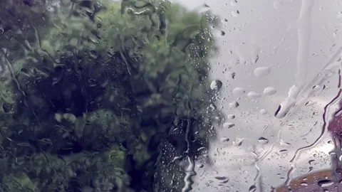 Raining day slow motion footage. Stock Footage 202154229