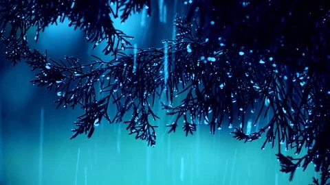 Raining in the dim moonlight ,Rainy night Vídeos de archivo 97469671