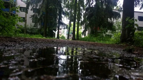 Raining dirt road Stock Footage 91913643