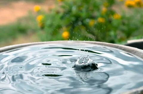 Raining dripping on the jar Stock Photos