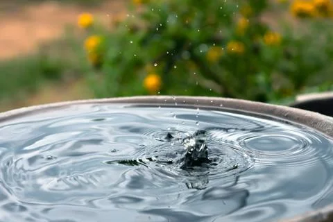 Raining dripping on the jar Stock Photos