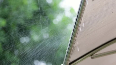 Raining drop on Canopy roof with tree background Stock Footage 80673581