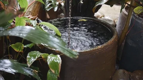 Raining drop into the well Vidéo 81041282