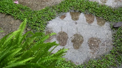 Raining droplet on floor Stock Footage 150204399