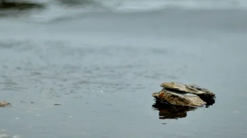 Raining droplets drop falling on ground of wet cements. Stock Footage 115477700