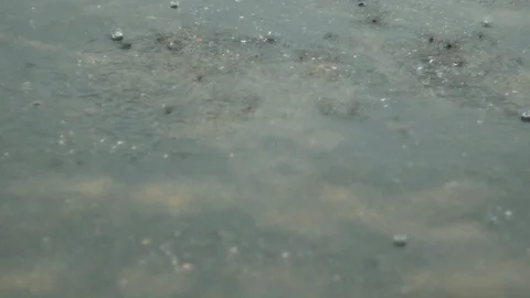 Raining droplets drop falling on ground of wet cements. Stock Footage 115693141
