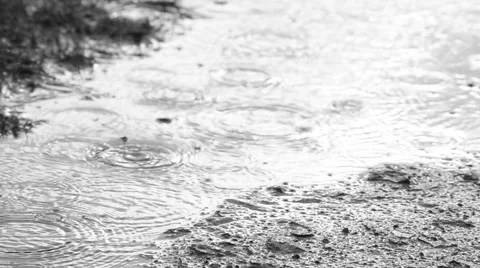 Raining, droplets into puddle Stock Footage 40933596