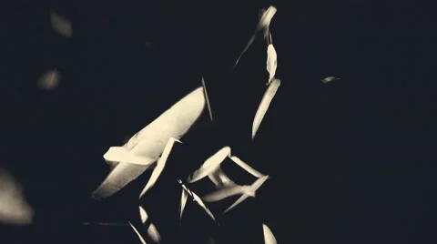 Raining feathers on a dark background - vintage beige effect Stock Footage 50206182