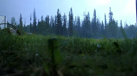 Raining in the field Stock Footage 10750085