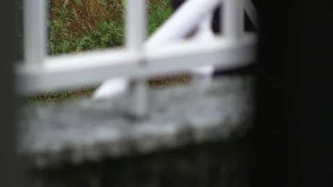 RAINING IN THE FIELD WITH OBJECTS IN BETWEEN Stock Footage 94759674