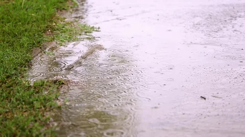 Raining on the floor and grass Stock Footage 82397726