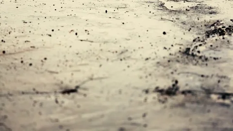 Raining on the floor and grass Vídeos de archivo 82397753