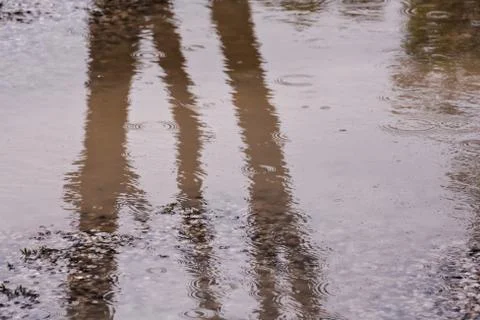 Raining flow down on the floor Foto stock