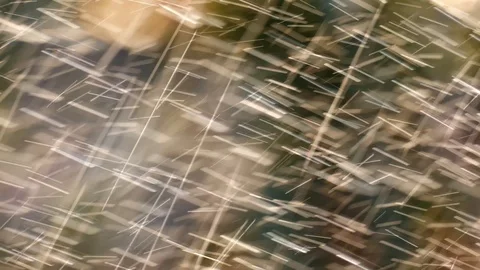 Raining flowers Vídeos de archivo 103360248