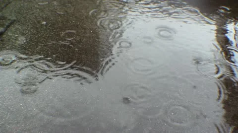 Raining Stock Footage 12454957