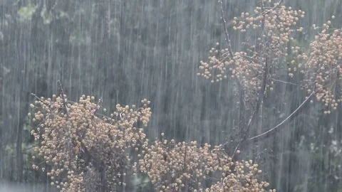 Raining Video stock 84765652