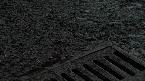 Raining Stock Footage 93208595