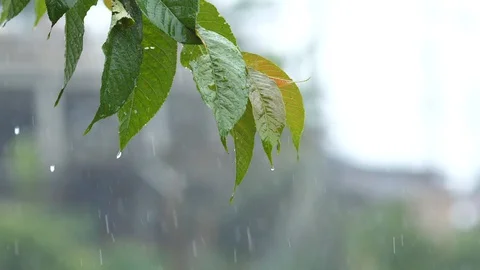 Raining Video stock 128037322