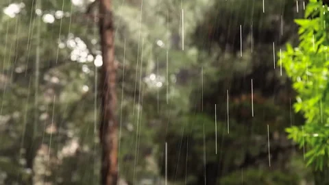 Raining Stock Footage 151984615