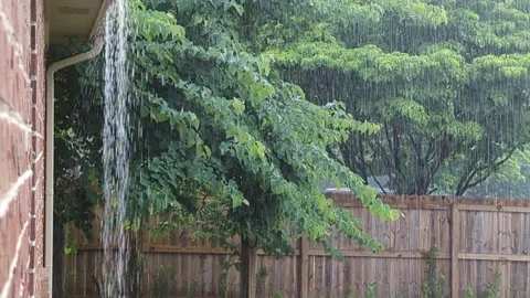 Raining 스톡 동영상 231922417