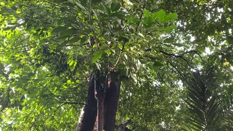 Raining Stock Footage 328160564