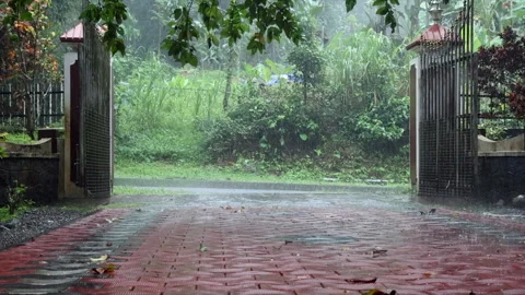 Raining in front yard with the gate opened and a road in front of the gate. Video stock 278873159