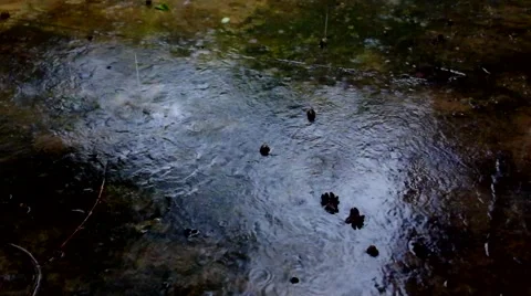 Raining in garden Stock Footage 41693655