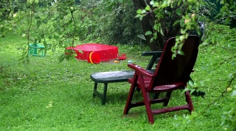 Raining in the garden Stock-Footage 52763233