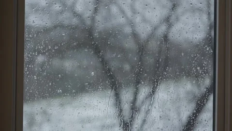 Raining on glass window with out of focus tree in winter Vidéo 259229568