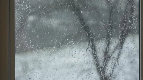 Raining on glass window with out of focus tree in winter Stock Footage 259229576
