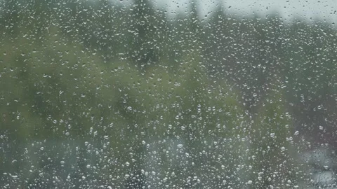 Raining on glass window with out of focus tree in winter Stock Footage 259229586