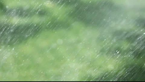 Raining (grass floating close up) Stock Footage 7739320