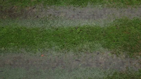 Raining on the grass Stock Footage 141924742