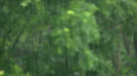 Raining, green background Stock Footage 485931