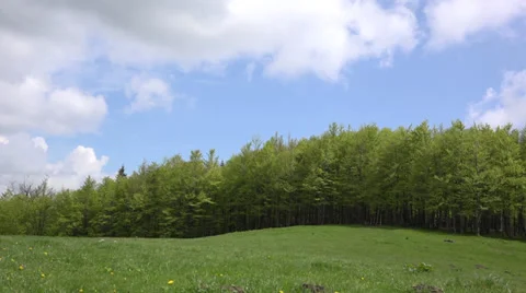 Raining on green meadow, white fluffy clouds in a sunny day 4K Stock Footage 39716657