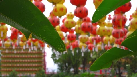 Raining at green plant Stock Footage 197012817