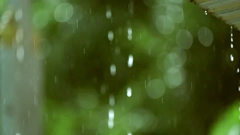 Raining on green tree background Stock-Footage 140120071