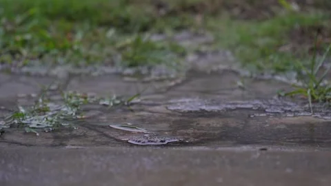 Raining on the ground with water splash 動画素材 267082785