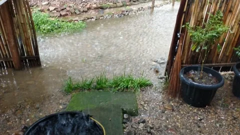 Raining heavily Stock Footage 226233099